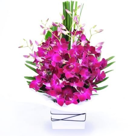 SKU-AR00160-Stunnig purple Orchids